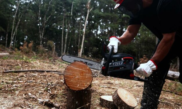 Os cuidados necessários para garantir a eficiência e aumentar a durabilidade das motosserras