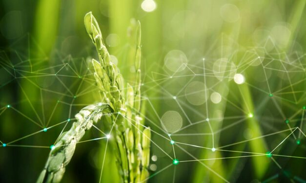 Fórum Bioinsumos no Agro reúne players para discutir setor, que tem mercado estimado de R$ 17 bilhões até 2030