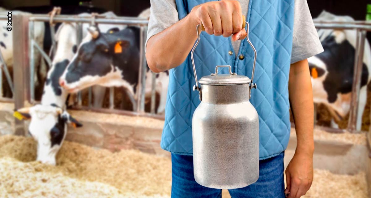 Estratégias eficientes para impulsionar a eficiência produtiva podem garantir aumento na produção de leite por vaca/dia