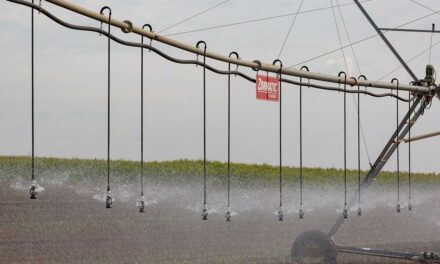 Irrigação pode ajudar a expandir a agricultura no Espírito Santo