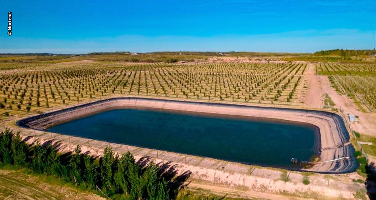 Confiança na marca gera lucratividade ao produtor e beneficia o meio ambiente