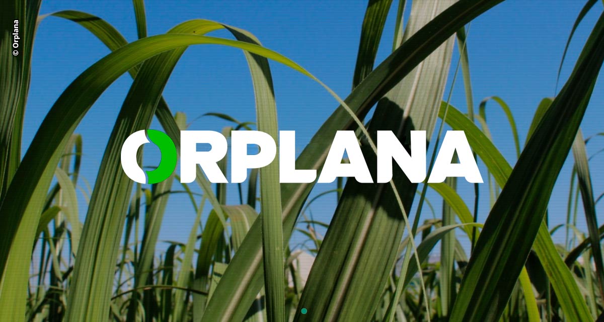 Para ORPLANA, falta de inserção dos produtores de cana no modelo pode inviabilizar descarbonização e efetividade do programa RenovaBio