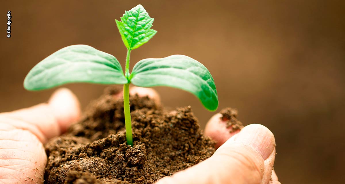 O Broto, plataforma digital do BB para o agro, está oferecendo uma nova forma de adquirir a tecnologia da Perfect Flight