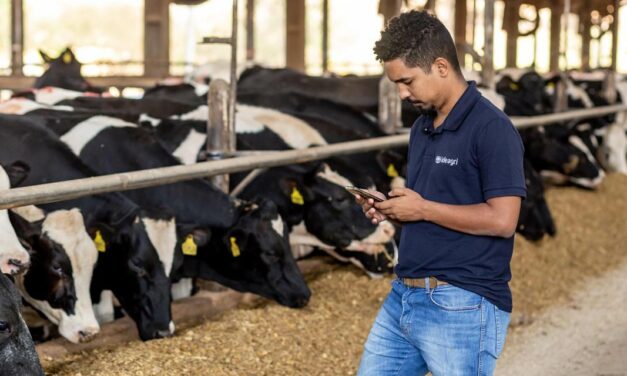 Integração de sistema de monitoramento de gado de leite da MSD Saúde Animal a software Ideagri amplia acesso a dados para melhorar gestão das fazendas