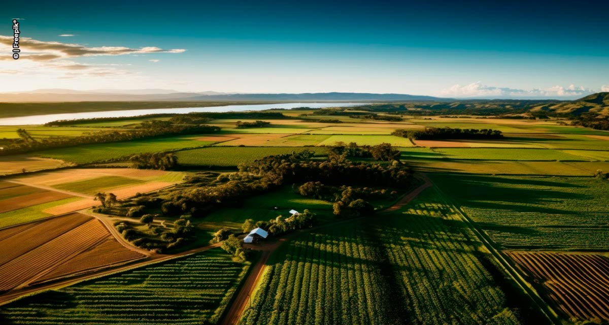 Agro paulista registra superávit de US$ 14,4 bilhões em oito meses