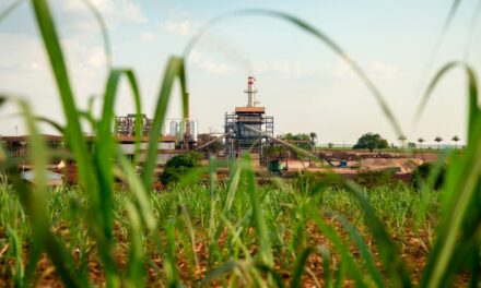 Setor sucroalcooleiro é destaque nas exportações do agro paulista