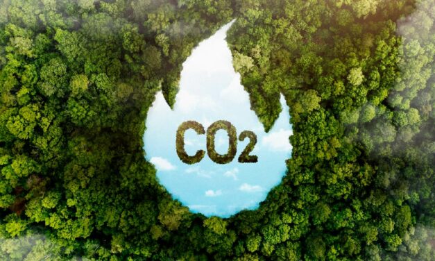 Mercado de Carbono passa pelo Senado com objetivo de neutralidade em emissões até 2050