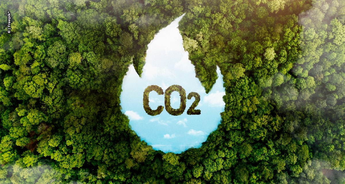 Mercado de Carbono passa pelo Senado com objetivo de neutralidade em emissões até 2050