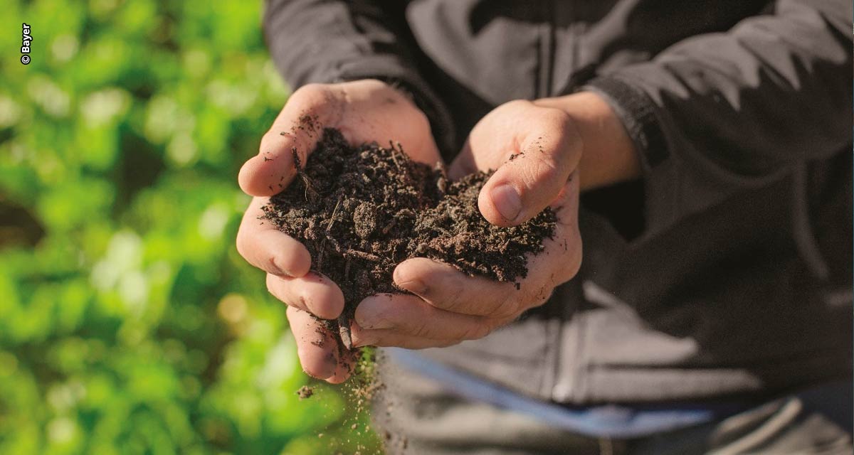 Bayer, Embrapa e especialistas apresentam avanços científicos para impulsionar a agricultura de baixo carbono