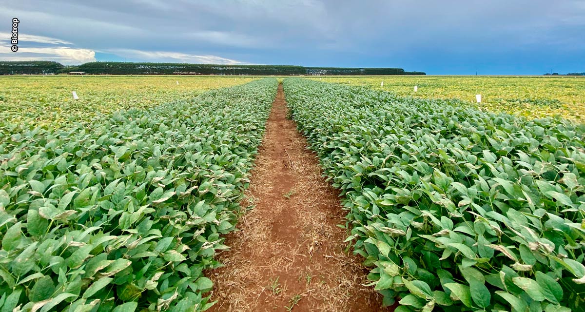 Acompanhando as tendências e demandas de clientes e consumidores, empresas do agronegócio buscam estabelecer compromissos ESG