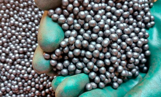Empresa segue com plano de crescimento em sementes de soja