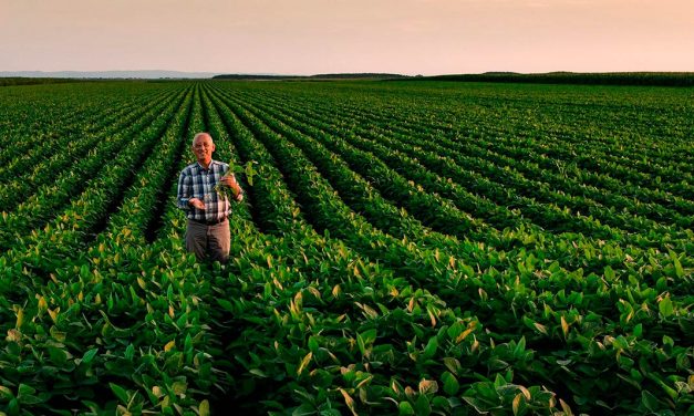 HELM do Brasil conquista certificação inédita de gestão ambiental