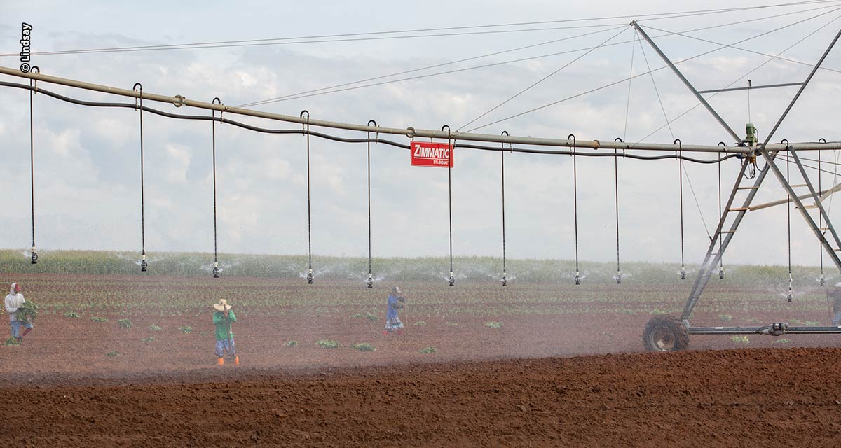 Tecnologias de irrigação e bom planejamento ajudam produtor contra onda de calor