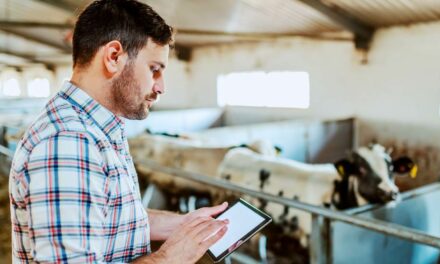 Uso de informações disponíveis na pecuária pode ampliar a rastreabilidade da cadeia de fornecedores