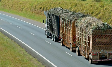SP regulariza transporte de cana-de-açúcar em composição de veículos de até 91 toneladas