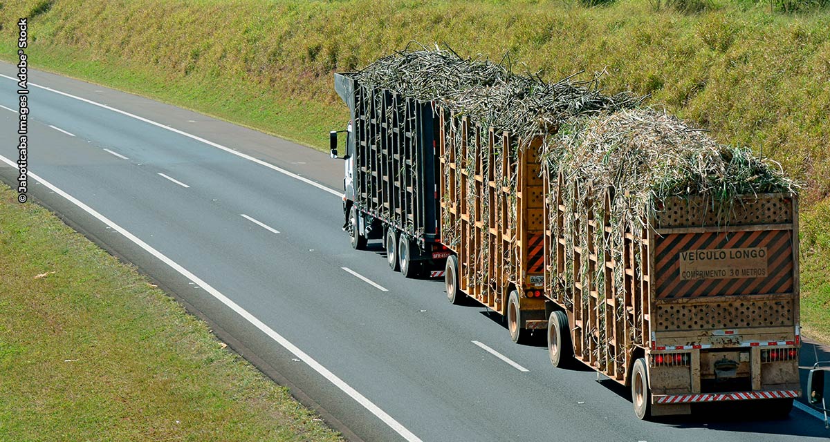 SP regulariza transporte de cana-de-açúcar em composição de veículos de até 91 toneladas