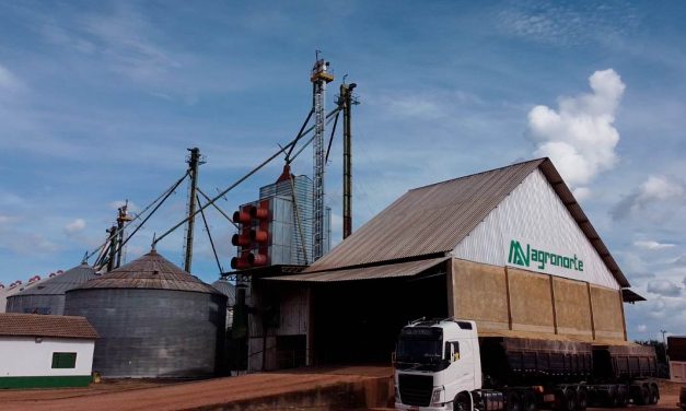 Agronorte planeja investimentos em armazém de grãos e fábrica de rações no Tocantins para atender à crescente necessidade no Norte e Nordeste