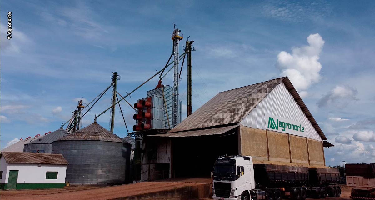 Agronorte planeja investimentos em armazém de grãos e fábrica de rações no Tocantins para atender à crescente necessidade no Norte e Nordeste