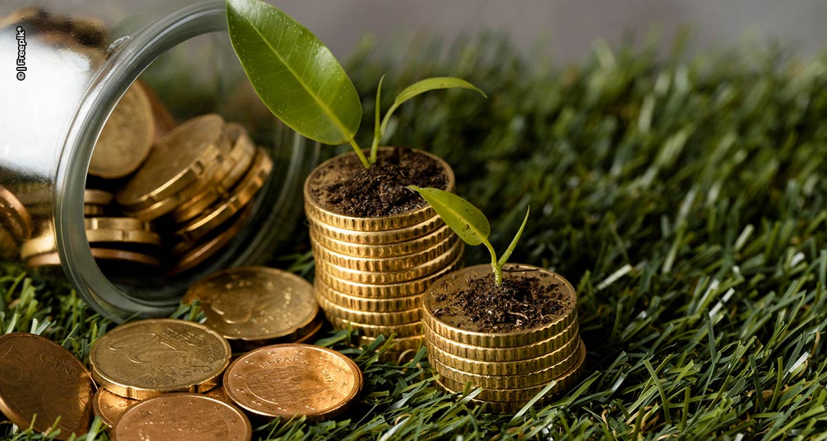 Fiagro: conheça a importância dos fundos de investimento e a potencialização das capitalizações no setor agrícola