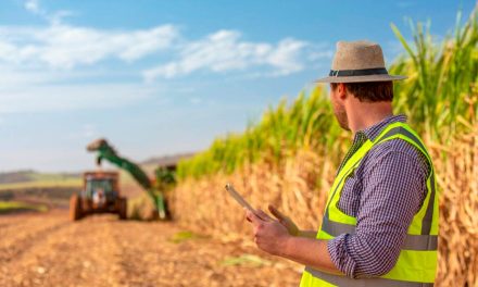 BASF reúne especialistas para impulsionar a produção da cana-de-açúcar no Brasil