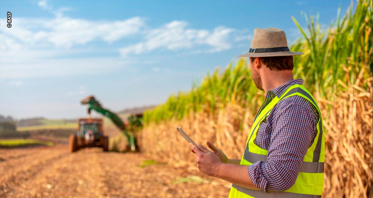 BASF reúne especialistas para impulsionar a produção da cana-de-açúcar no Brasil