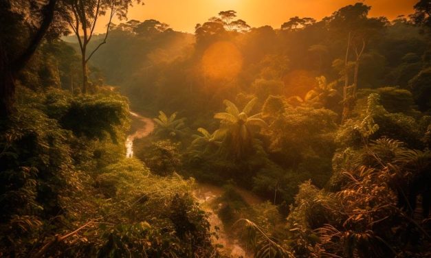 Estudo vai avaliar relação entre agricultura e preservação na Amazônia e no Cerrado