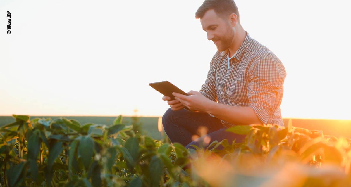 Bureau Veritas oferece mais de 700 vagas de emprego para Projeto Harvest