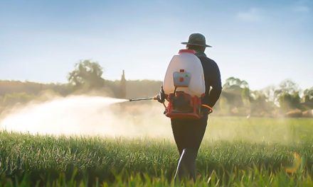 CropLife Brasil promove seminário para celebrar um ano do Programa de Treinamento sobre Insumos Ilegais