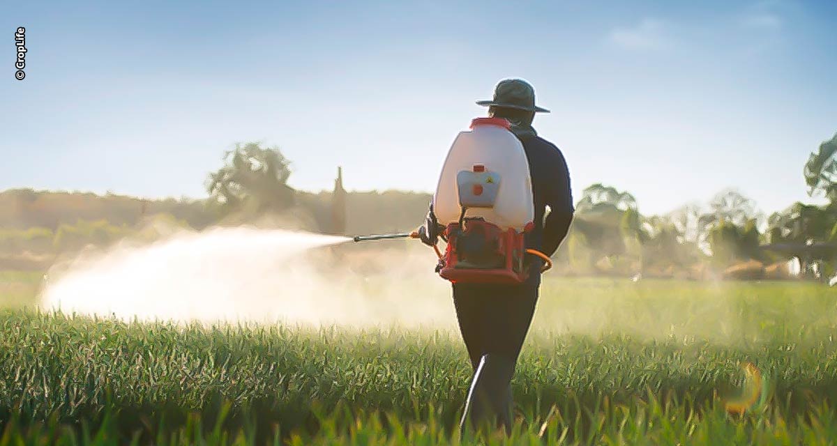 CropLife Brasil promove seminário para celebrar um ano do Programa de Treinamento sobre Insumos Ilegais