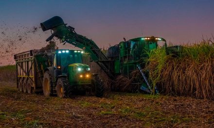 Com planejamento correto, é possível evitar erros na reforma do canavial