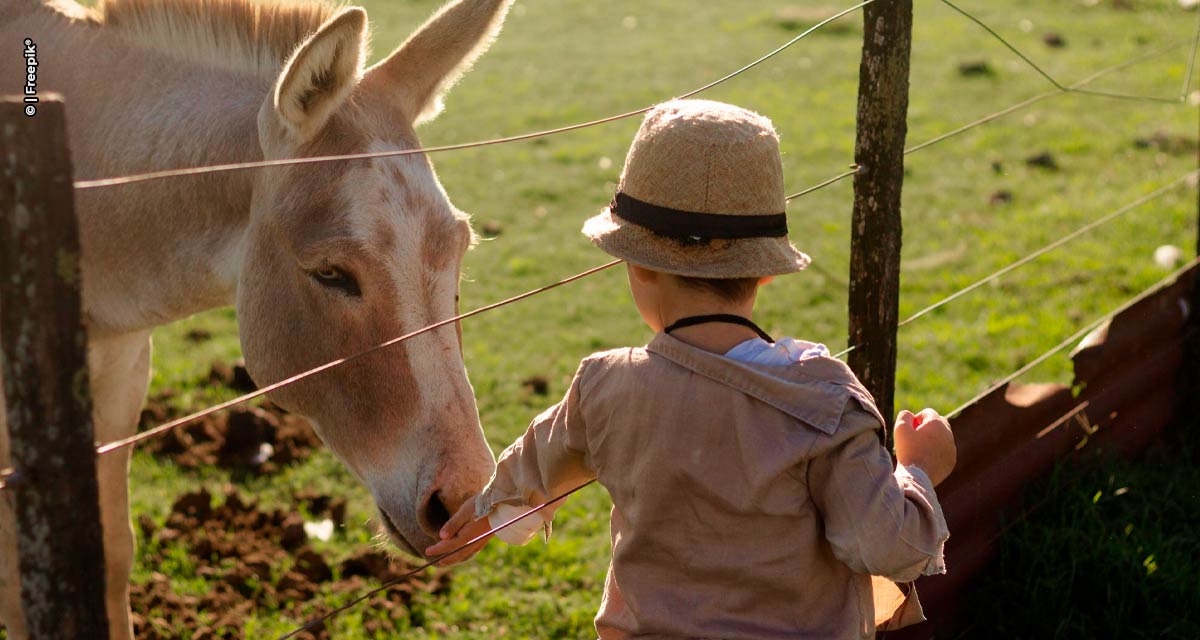 Saúde Única: Entenda o conceito e o papel das empresas de saúde animal para a sociedade