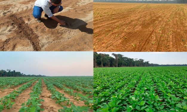 Irrigação por gotejamento subterrâneo: uma alternativa estratégica para driblar a instabilidade climática na cultura da soja
