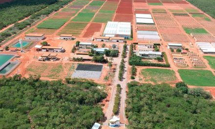 Syngenta Seeds em Aracati moderniza unidade, que passa a ser referência em inovação, pesquisa e desenvolvimento de novas sementes da América Latina