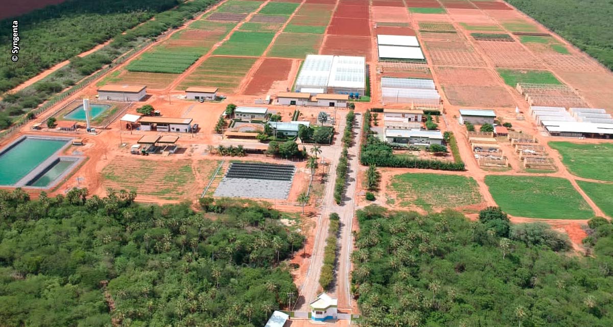 Syngenta Seeds em Aracati moderniza unidade, que passa a ser referência em inovação, pesquisa e desenvolvimento de novas sementes da América Latina