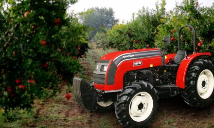Soluções mecanizadas para cultivo de frutas otimizam gestão nas lavouras para atender as demandas no final de ano