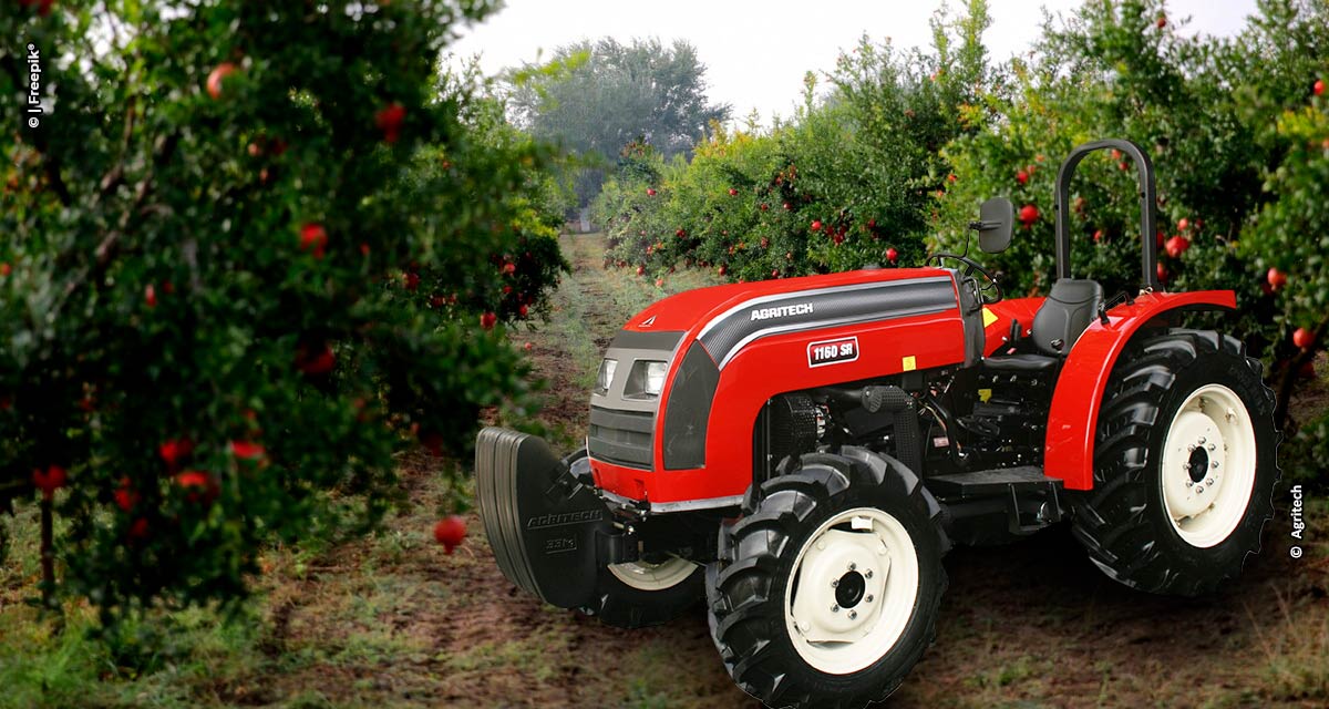 Soluções mecanizadas para cultivo de frutas otimizam gestão nas lavouras para atender as demandas no final de ano