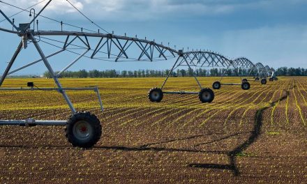 Irrigação é alternativa viável na expansão da agricultura no Matopiba