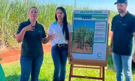 Canaoeste apresenta polo de mudas de variedades