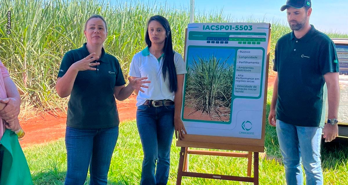 Canaoeste apresenta polo de mudas de variedades