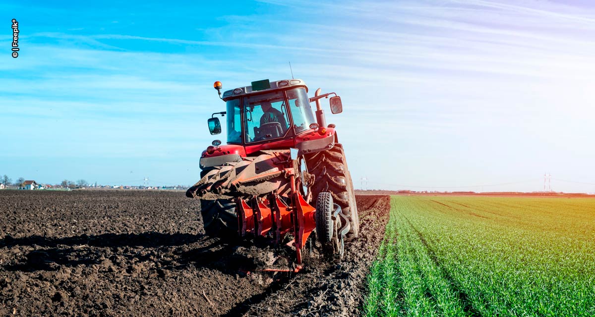 Onda de calor no Brasil ameaça produção agrícola e preços dos alimentos