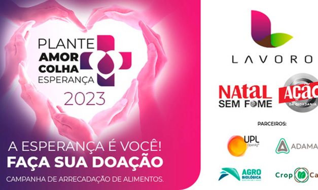 Plante Amor, Colha Esperança: Campanha Solidária pretende doar 5 mil cestas de alimentos para entidades sociais