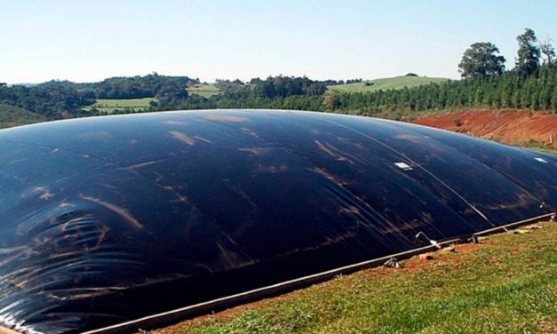 Agropecuária tem maior potencial de produção de biogás