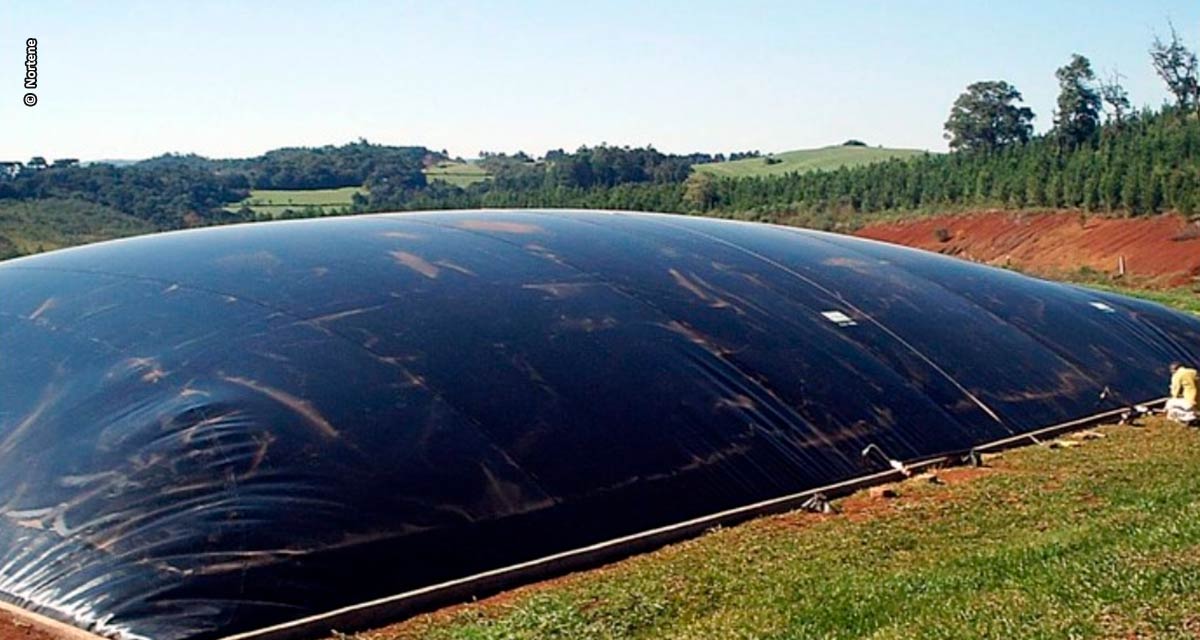 Agropecuária tem maior potencial de produção de biogás