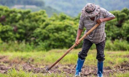 Falta de documentação pode inviabilizar a aposentadoria rural, alerta previdenciarista