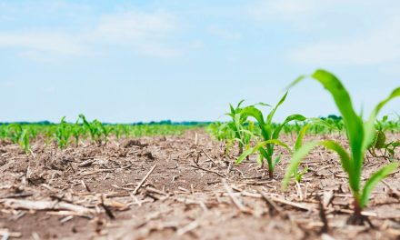 Produtor rural deve ficar ainda mais atento com as oscilações do clima