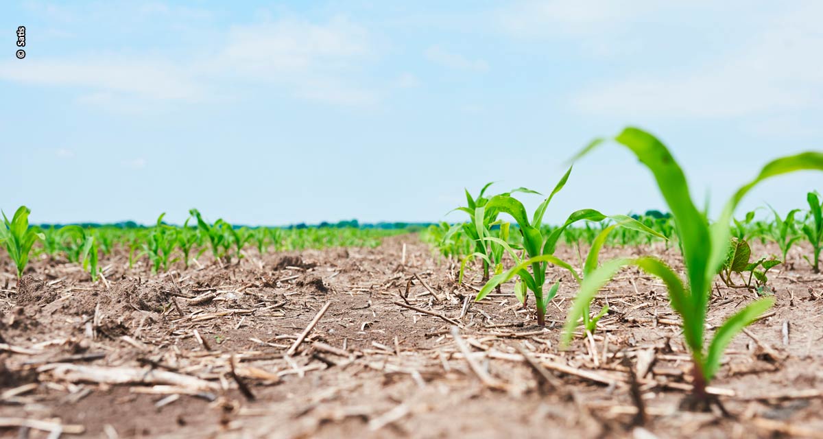 Produtor rural deve ficar ainda mais atento com as oscilações do clima