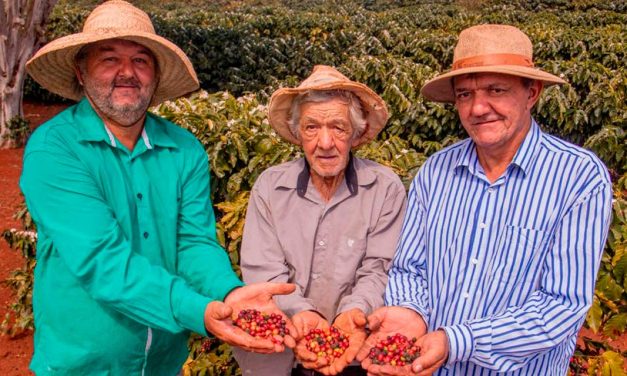Produtores de Mandaguari e região buscam a primeira Denominação de Origem para café paranaense