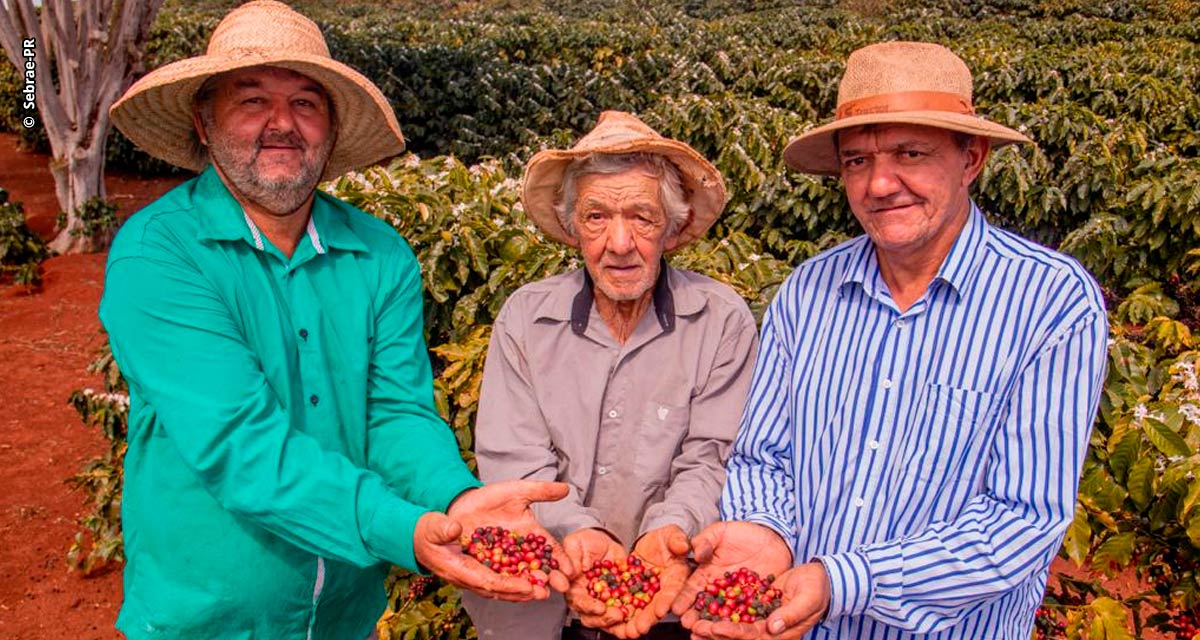 Produtores de Mandaguari e região buscam a primeira Denominação de Origem para café paranaense