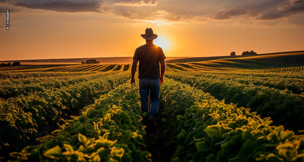 O que esperar em 2024 para agronegócio?