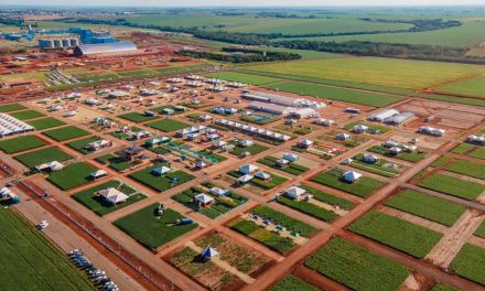 Dia de Campo de Verão C.Vale: inovações impulsionam o desempenho na produção animal